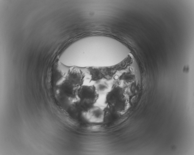 X0000113120365200908281047