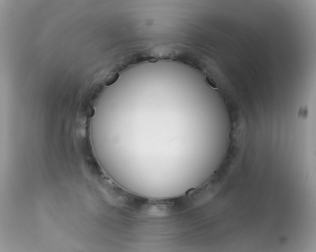 X0000113120368200908281047