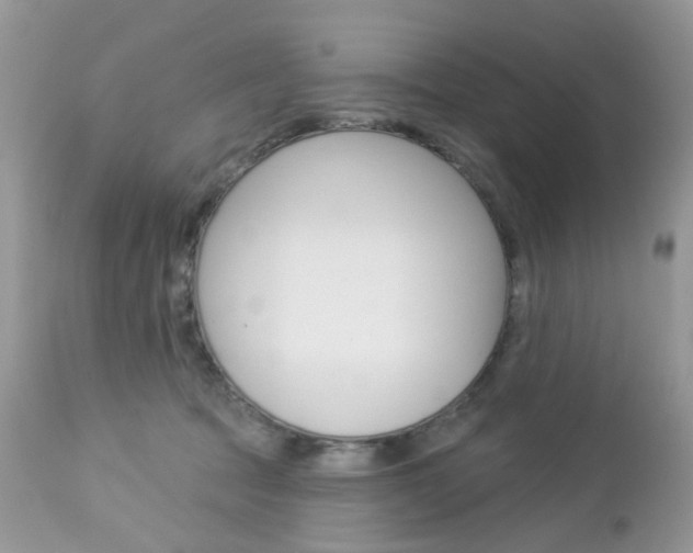 X0000113120369200908281047