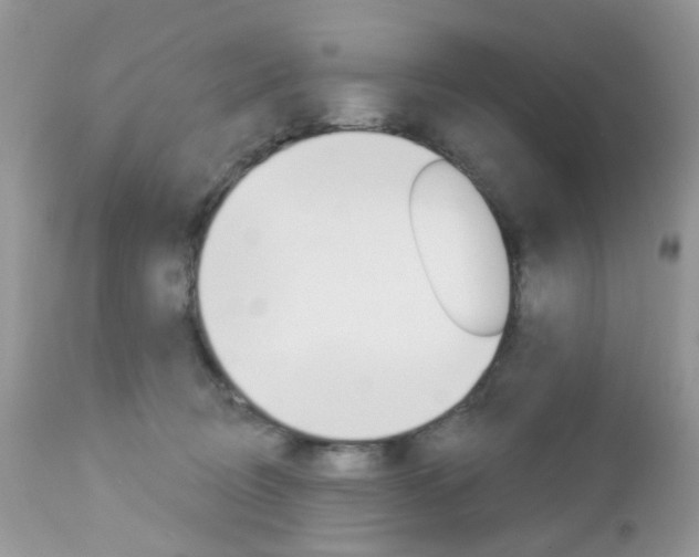 X0000113120370200908281047