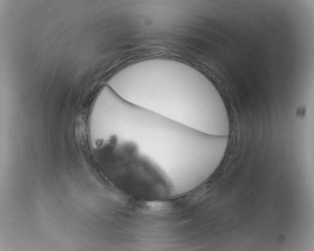X0000113120371200908281047
