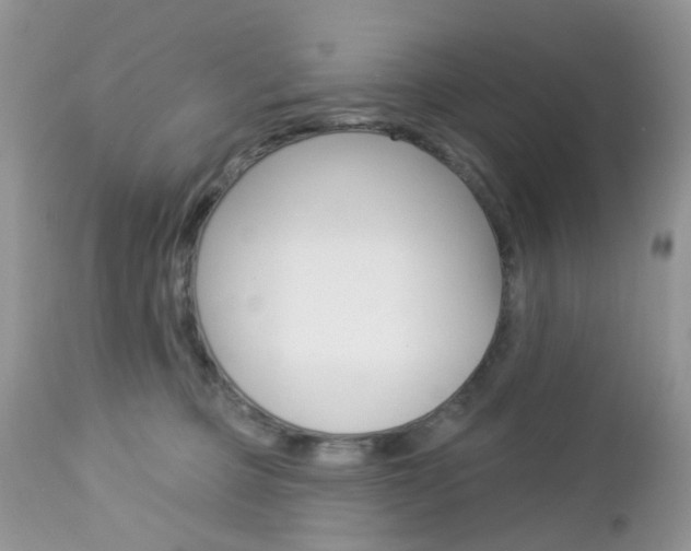 X0000113120373200908281048