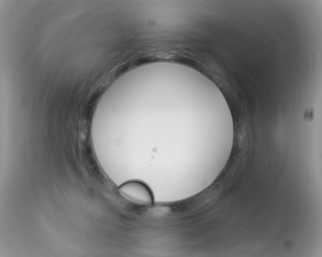 X0000113120374200908281048