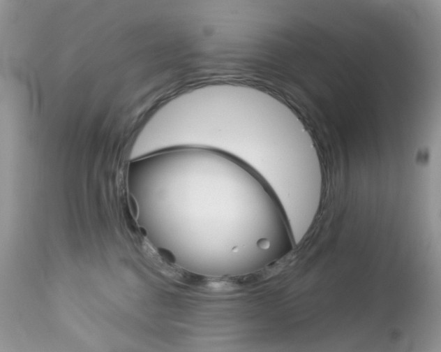 X0000113120376200908281048
