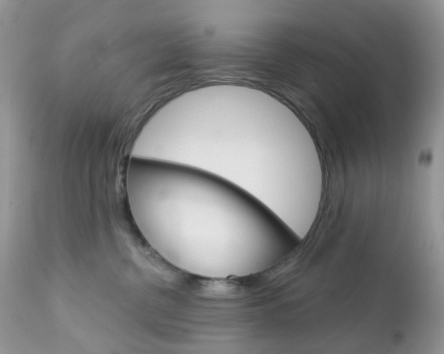 X0000113120380200908281048