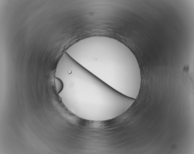 X0000113120383200908281048