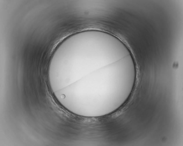 X0000113120386200908281047