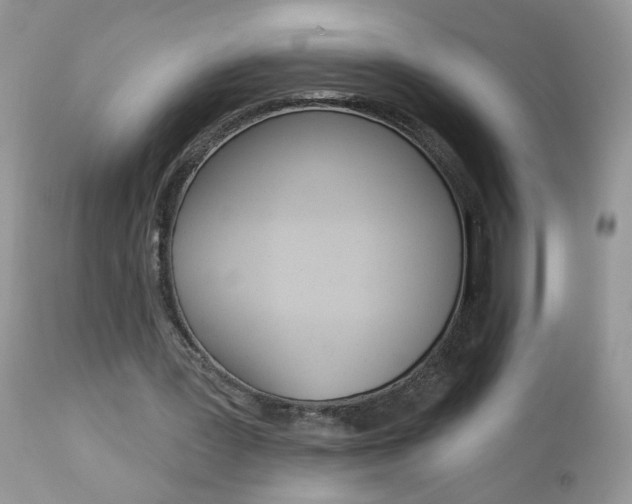 X0000113120387200908281047