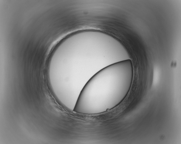 X0000113120388200908281047