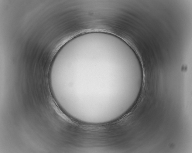 X0000113120389200908281047