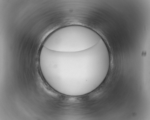 X0000113120390200908281047