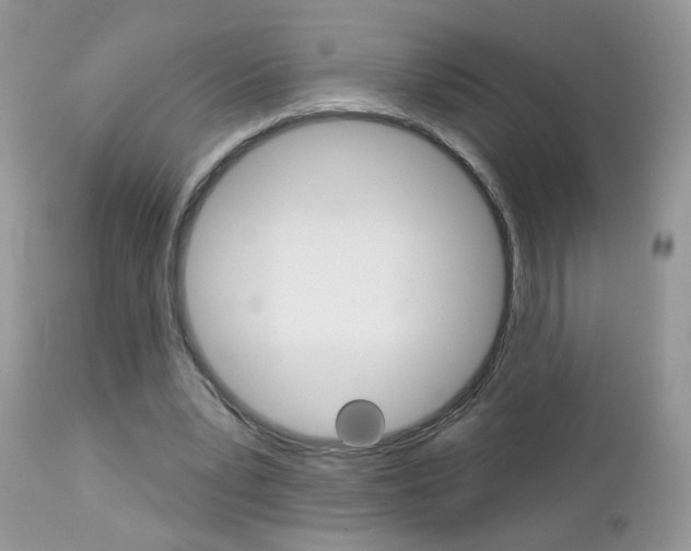 X0000113120391200908281047