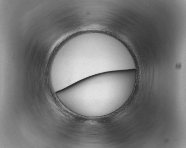 X0000113120392200908281047