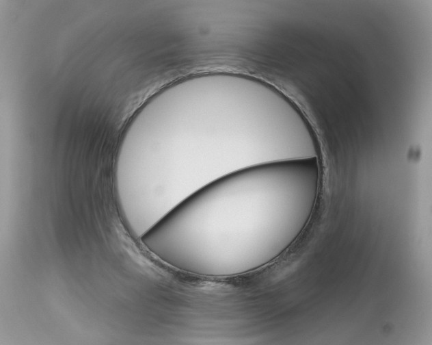 X0000113120393200908281047