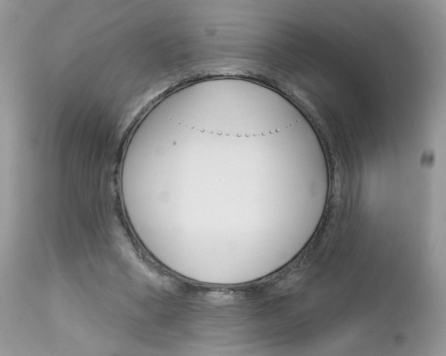 X0000113120394200908281047