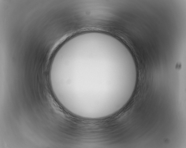 X0000113120395200908281047