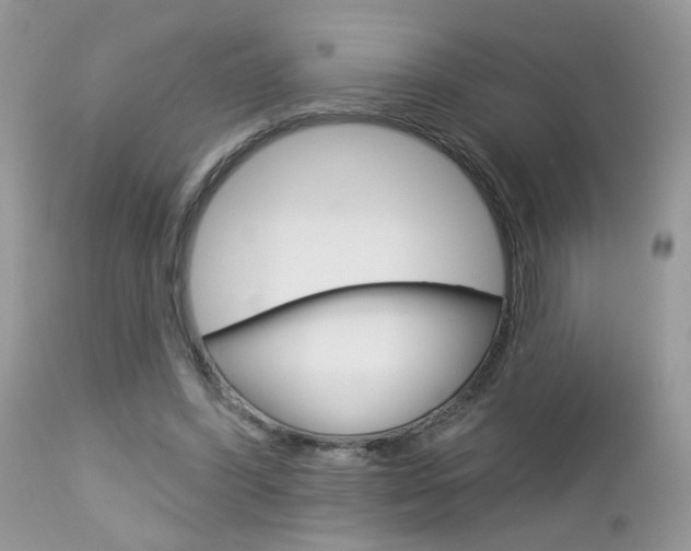 X0000113120396200908281047