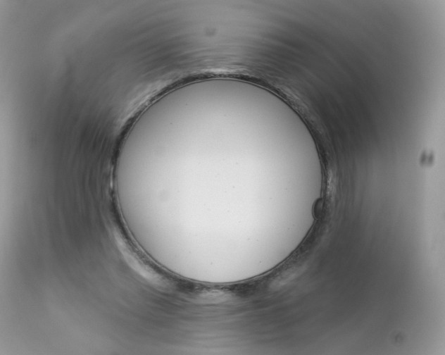 X0000113120397200908281047