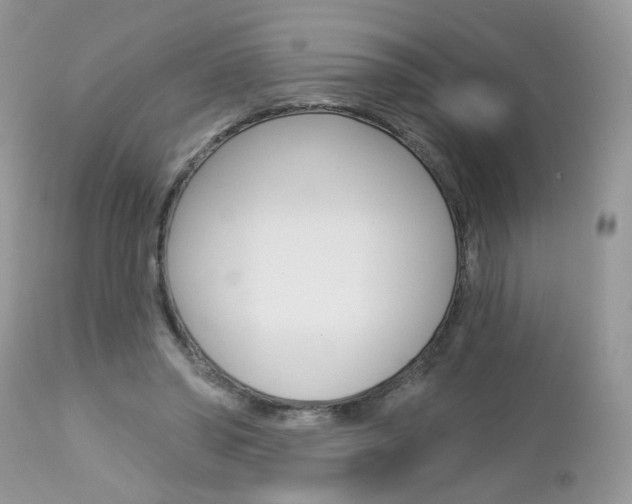 X0000113120398200908281047