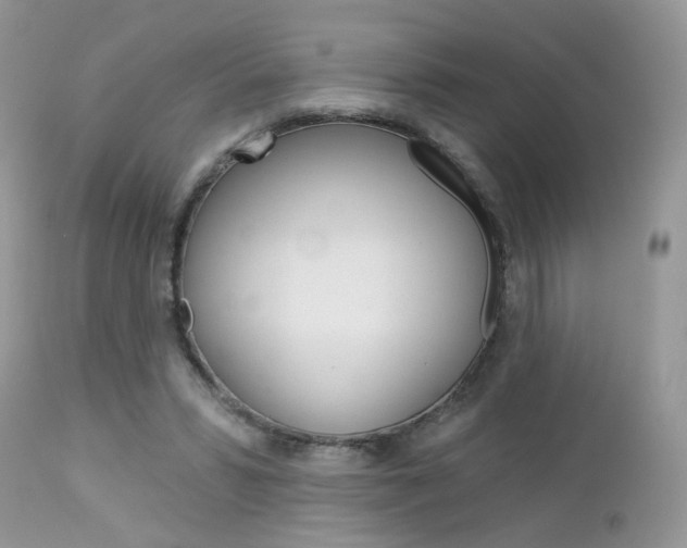 X0000113120399200908281047