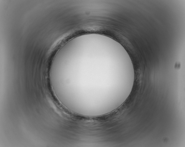 X0000113120400200908281047