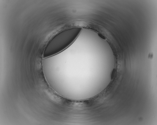 X0000113120401200908281047
