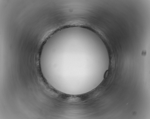 X0000113120403200908281047
