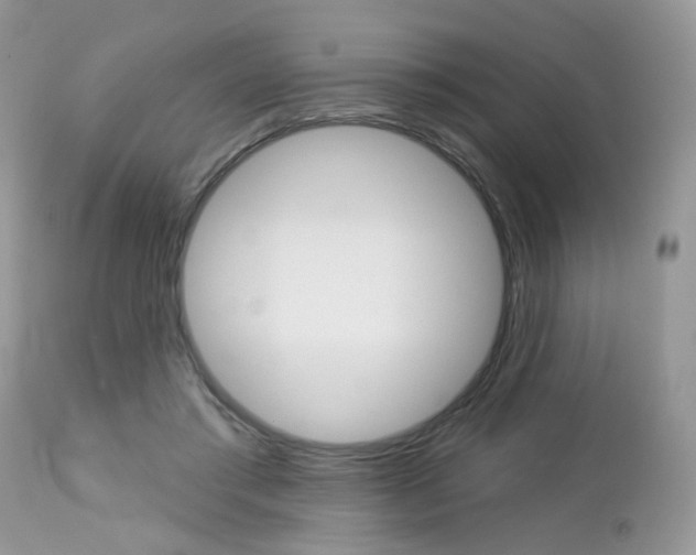 X0000113120405200908281047