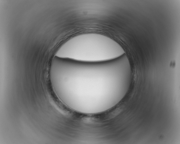 X0000113120408200908281047