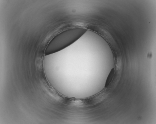 X0000113120409200908281047