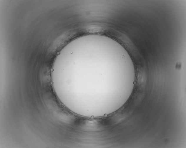 X0000113120411200908281047