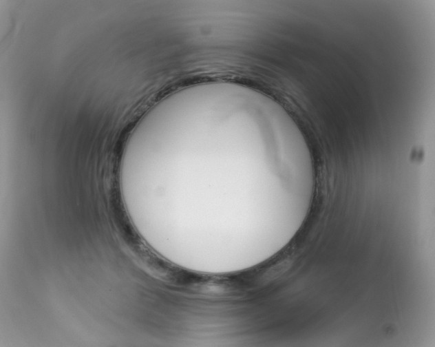X0000113120412200908281047