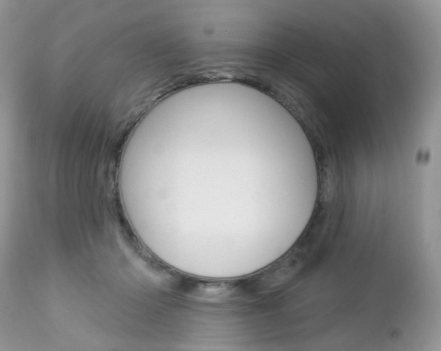 X0000113120414200908281046