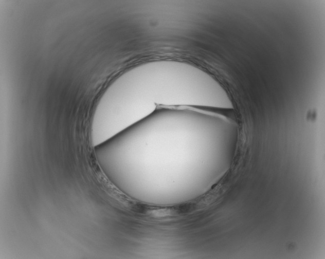 X0000113120417200908281046