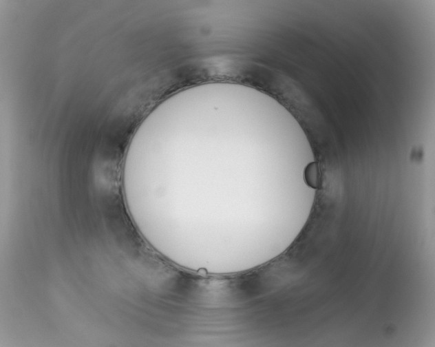 X0000113120419200908281046