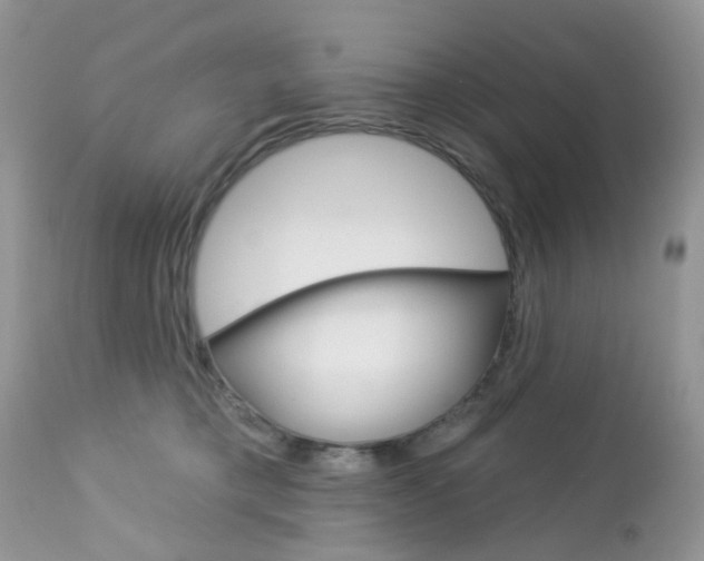 X0000113120421200908281046