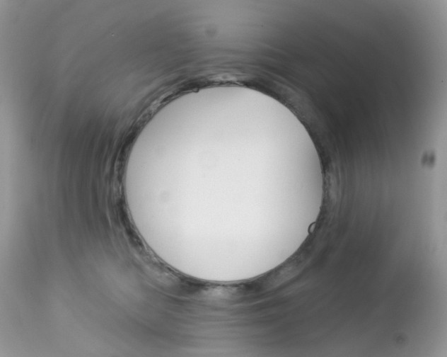 X0000113120422200908281046