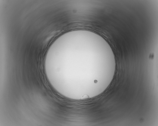 X0000113120423200908281046