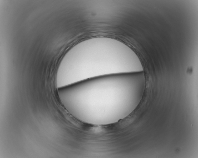 X0000113120425200908281046