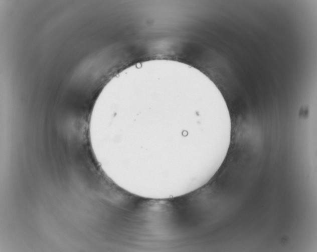 X0000113120427200908281046