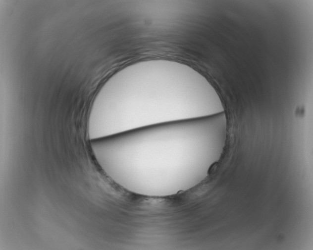 X0000113120428200908281046