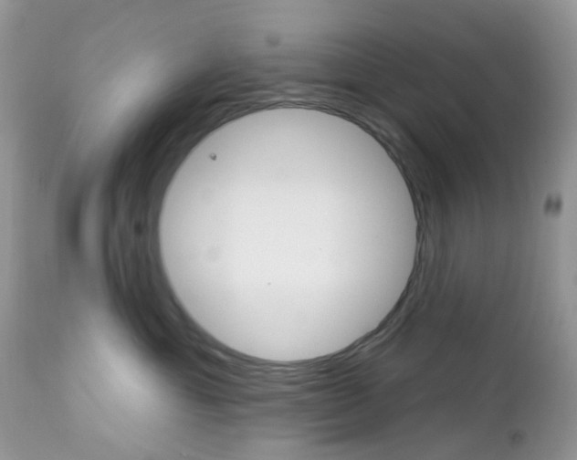 X0000113120429200908281046