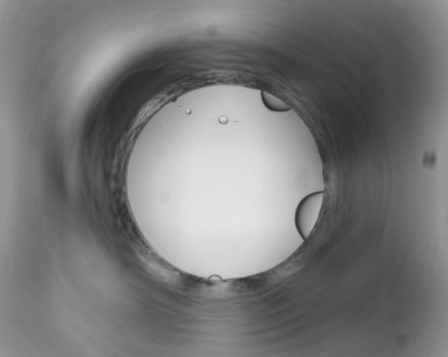 X0000113120430200908281046
