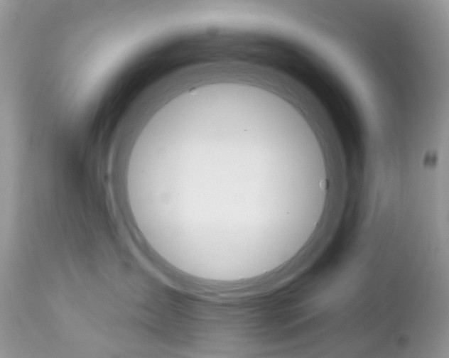 X0000113120431200908281046