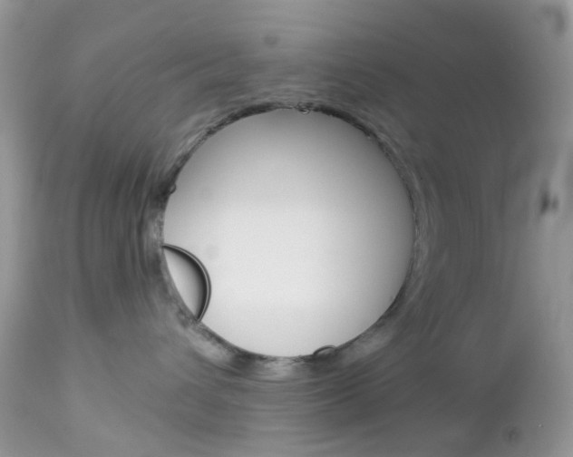 X0000113120432200908281046