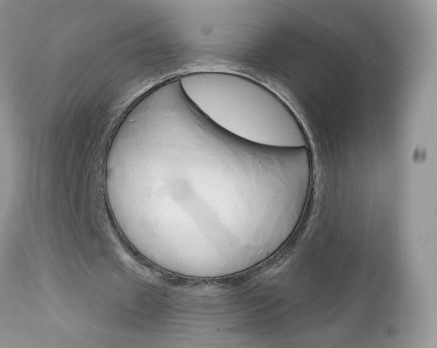 X0000113120433200908281046