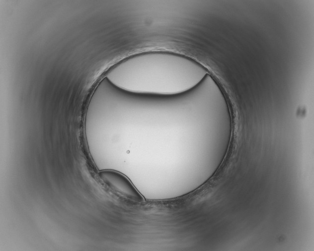 X0000113120434200908281046