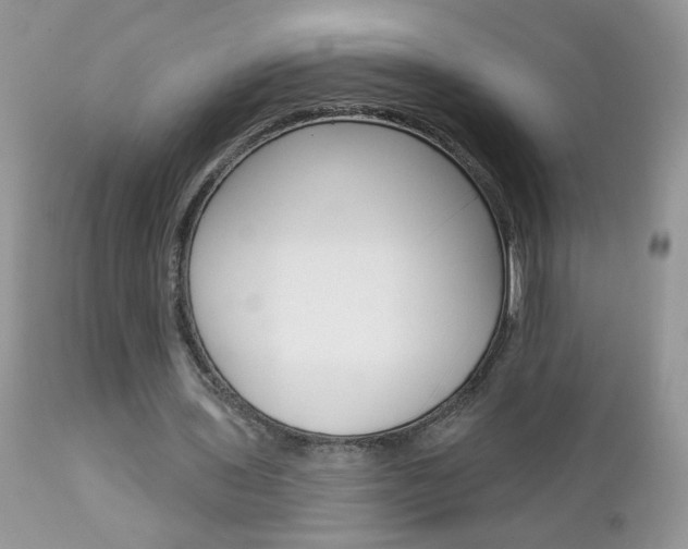 X0000113120435200908281046