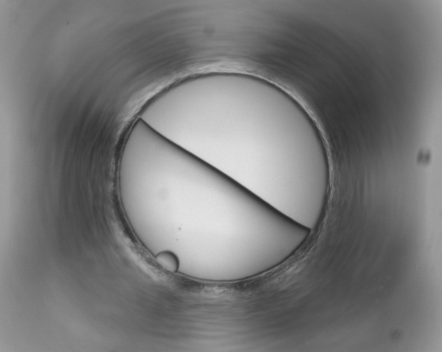 X0000113120437200908281046