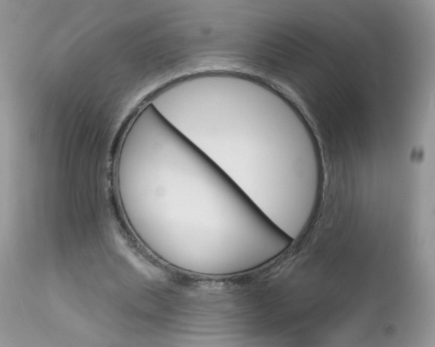X0000113120439200908281046